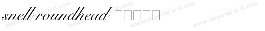 snell roundhead字体转换